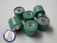 Variatorrollen GTS 250 21x17mm, 11 Gr.